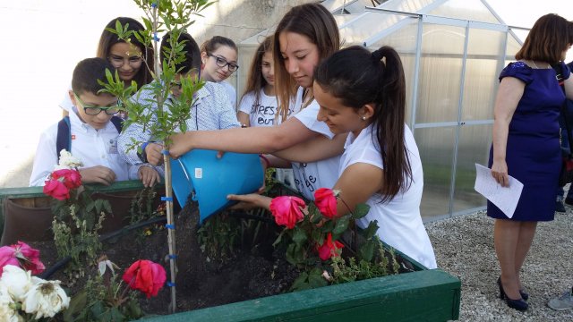 20170519_173912-compressed