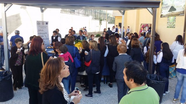 20170519_175628-compressed